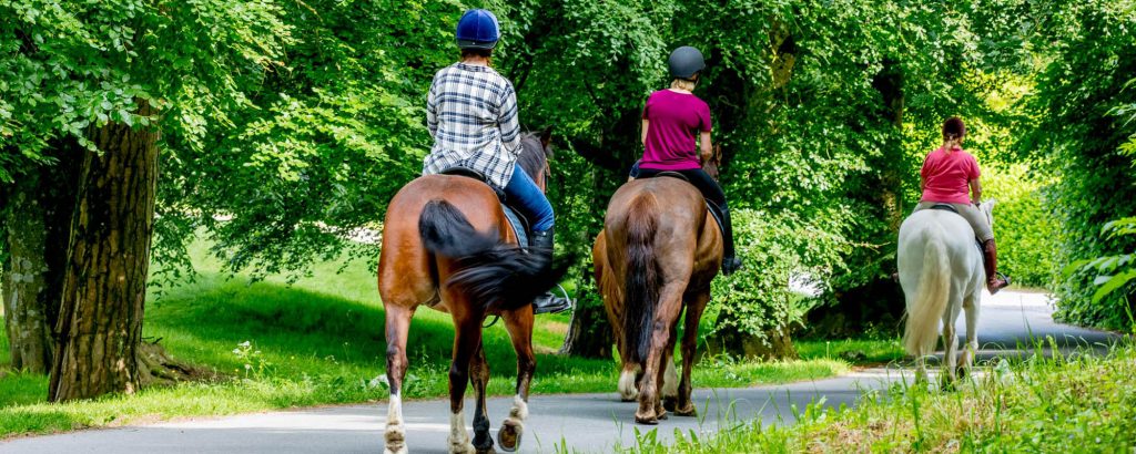 Outdoor Kilkenny Equestrian Header