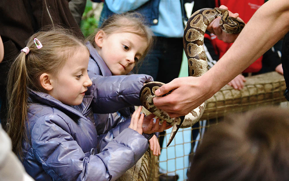 Outdoor Kilkenny Reptile Zoo 02